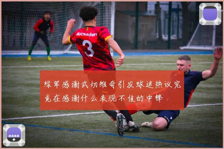 绿军感谢武切维奇引发球迷热议究竟在感谢什么表现不佳的中锋